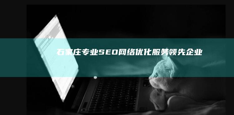 石家庄专业SEO网络优化服务领先企业